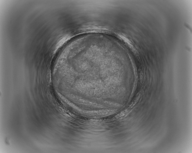 X0000094781267200712071156