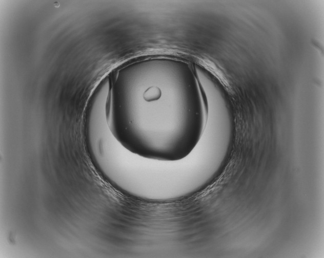 X0000094781268200712071156