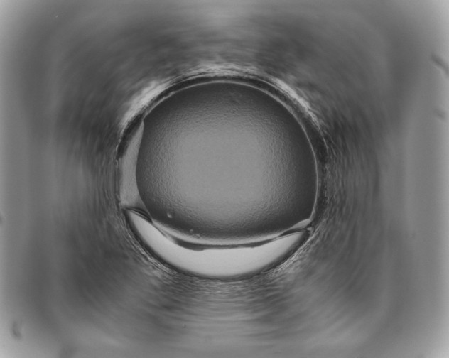 X0000094781269200712071156