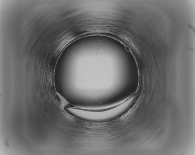 X0000094781273200712071156