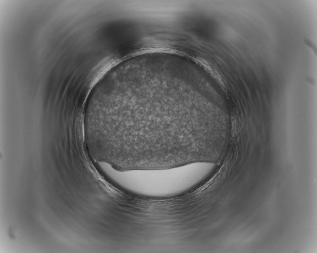 X0000094781274200712071156