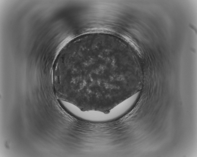 X0000094781275200712071156