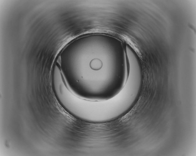 X0000094781276200712071156