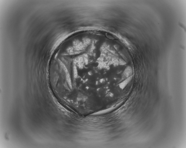 X0000094781279200712071156