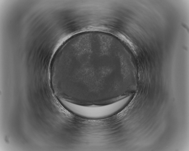 X0000094781280200712071156