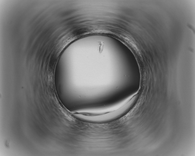 X0000094781281200712071156