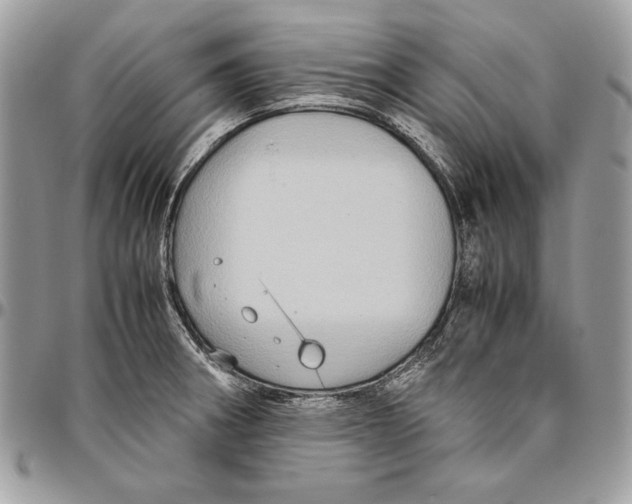 X0000094781282200712071156