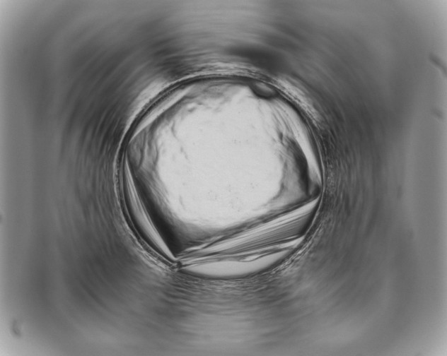 X0000094781283200712071156