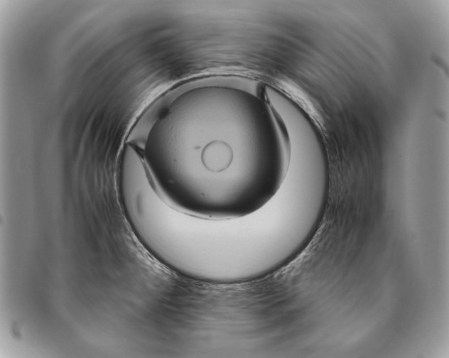 X0000094781284200712071156