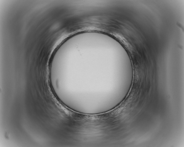 X0000094781286200712071156