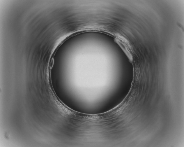 X0000094781288200712071156