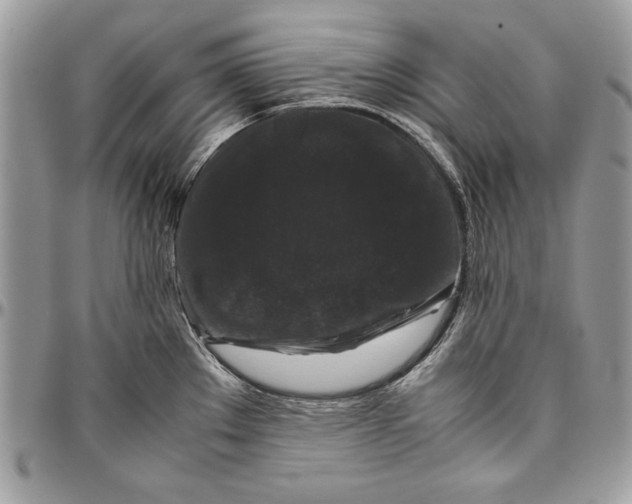 X0000094781289200712071156