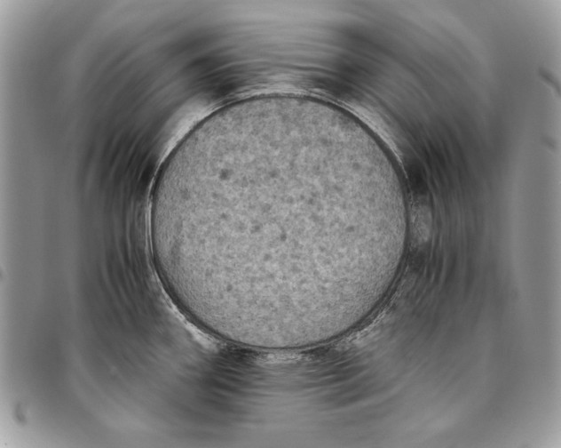 X0000094781290200712071156