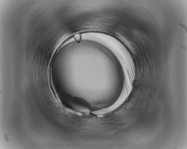 X0000094781291200712071156