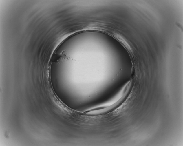 X0000094781292200712071156