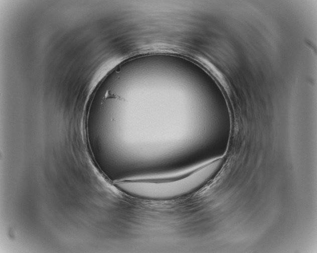 X0000094781293200712071156