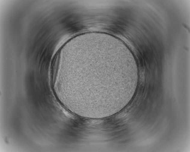 X0000094781294200712071156