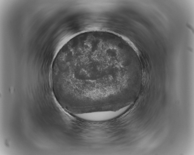 X0000094781295200712071156