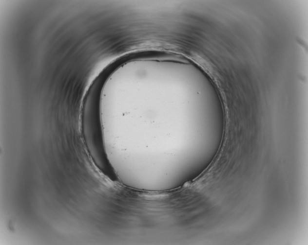 X0000094781296200712071156