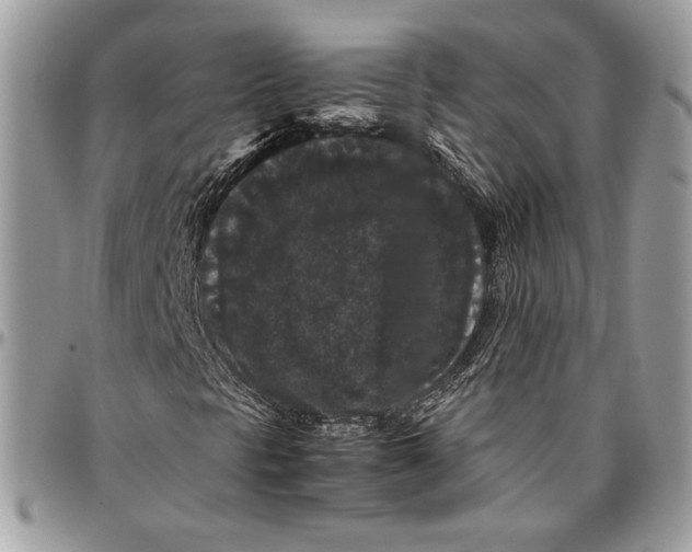 X0000094781297200712071155