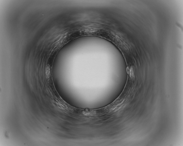 X0000094781299200712071155