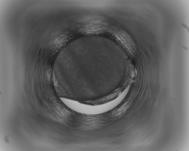 X0000094781300200712071155