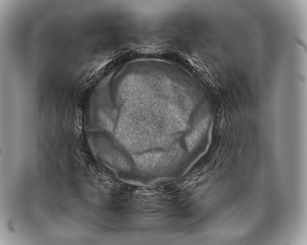 X0000094781301200712071155