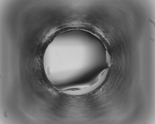 X0000094781304200712071155