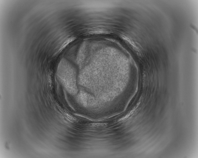 X0000094781305200712071155