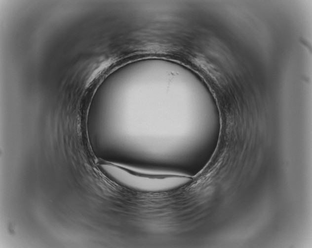 X0000094781307200712071155