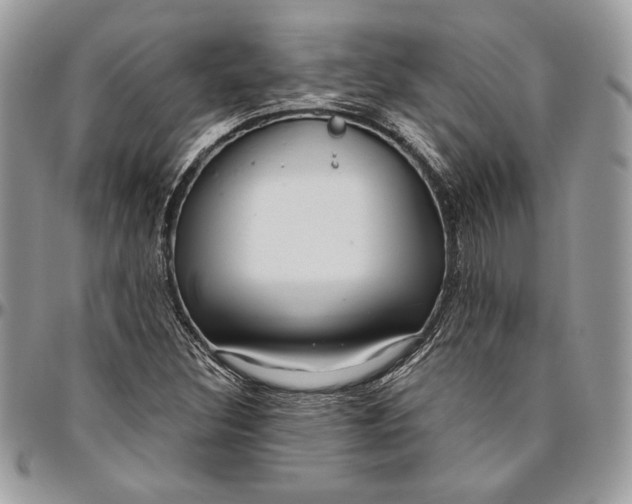 X0000094781308200712071155