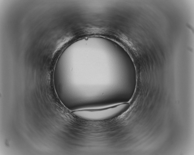 X0000094781309200712071155