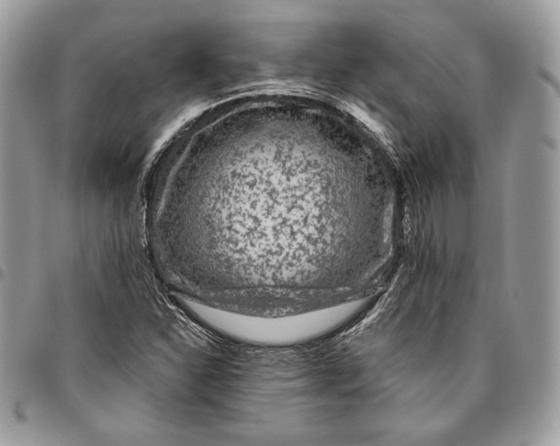 X0000094781310200712071155