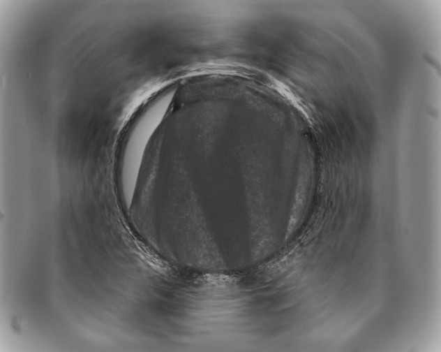 X0000094781312200712071155