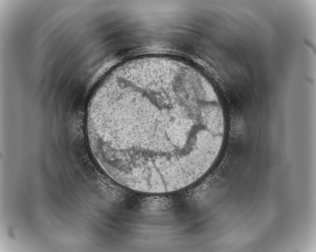 X0000094781314200712071155