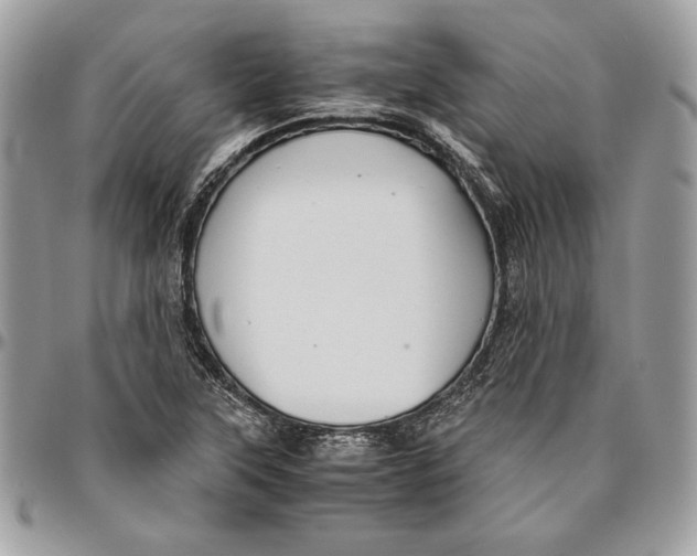 X0000094781315200712071155