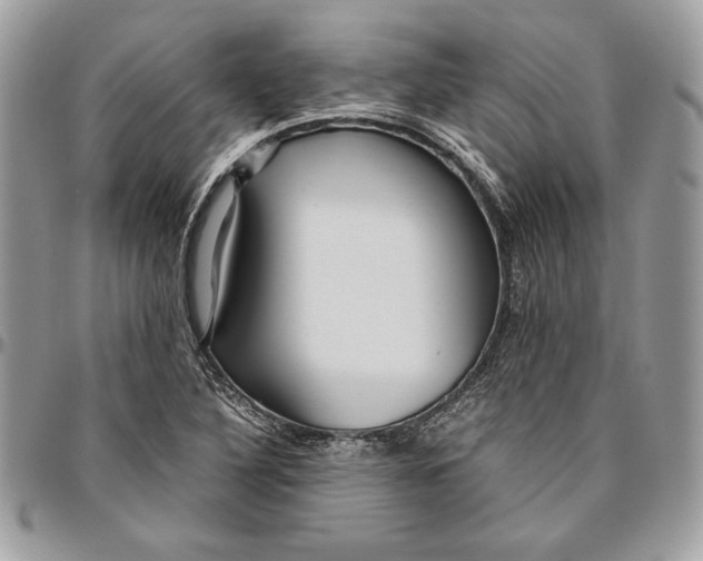 X0000094781316200712071155