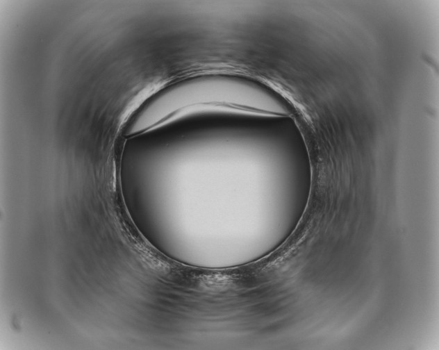 X0000094781317200712071155