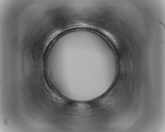 X0000094781318200712071155