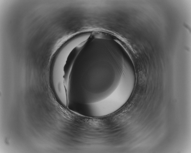 X0000094781319200712071155