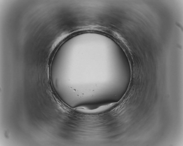 X0000094781320200712071155