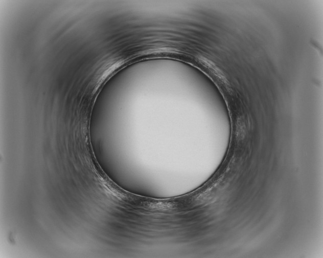 X0000094781321200712071155