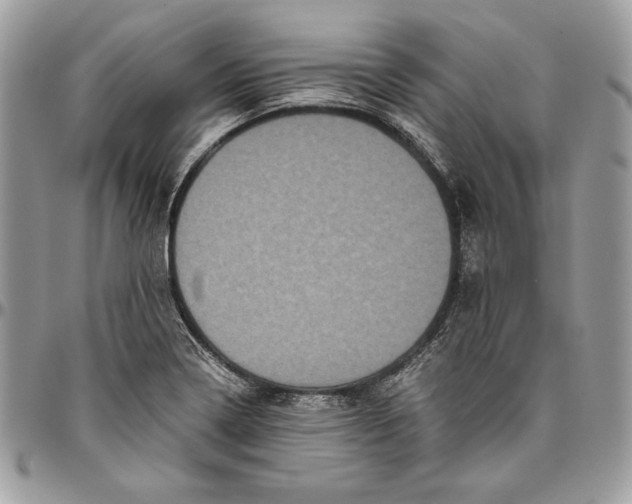 X0000094781322200712071156