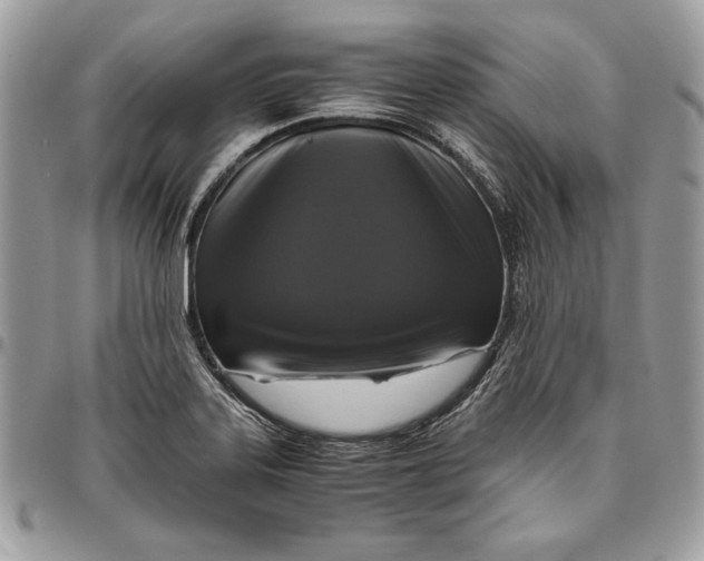 X0000094781323200712071156