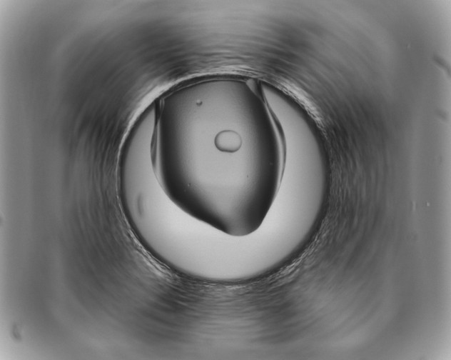 X0000094781324200712071156