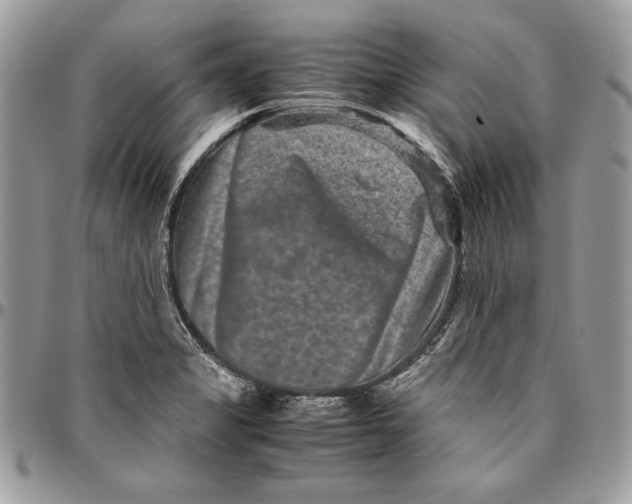 X0000094781325200712071156