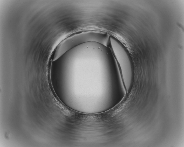 X0000094781326200712071156