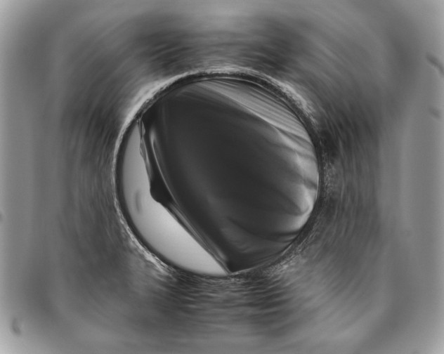 X0000094781327200712071156