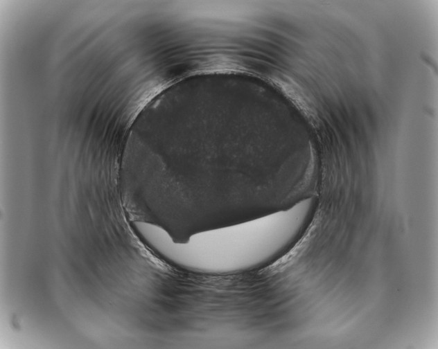 X0000094781329200712071156