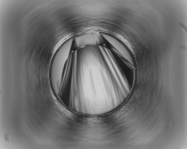 X0000094781330200712071156